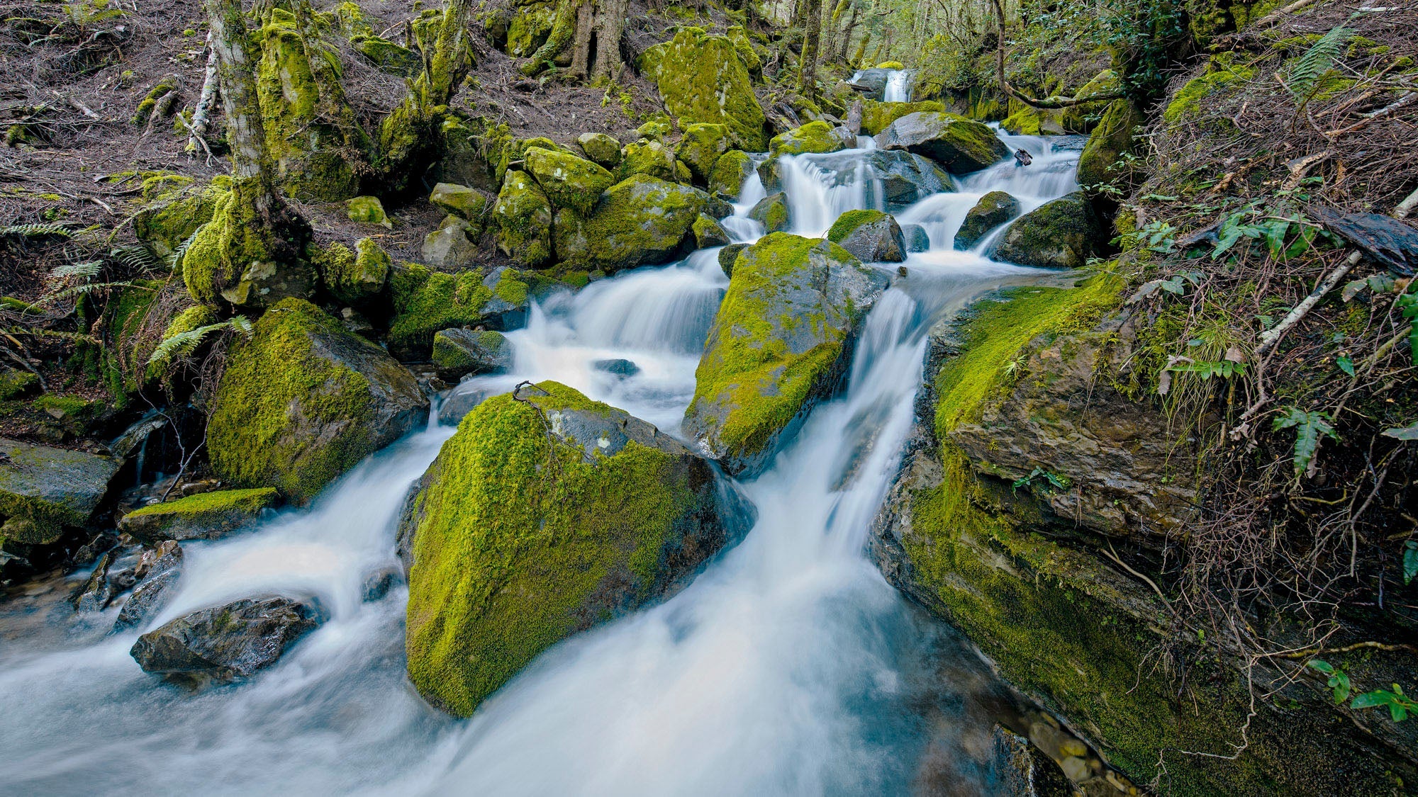 Rivers