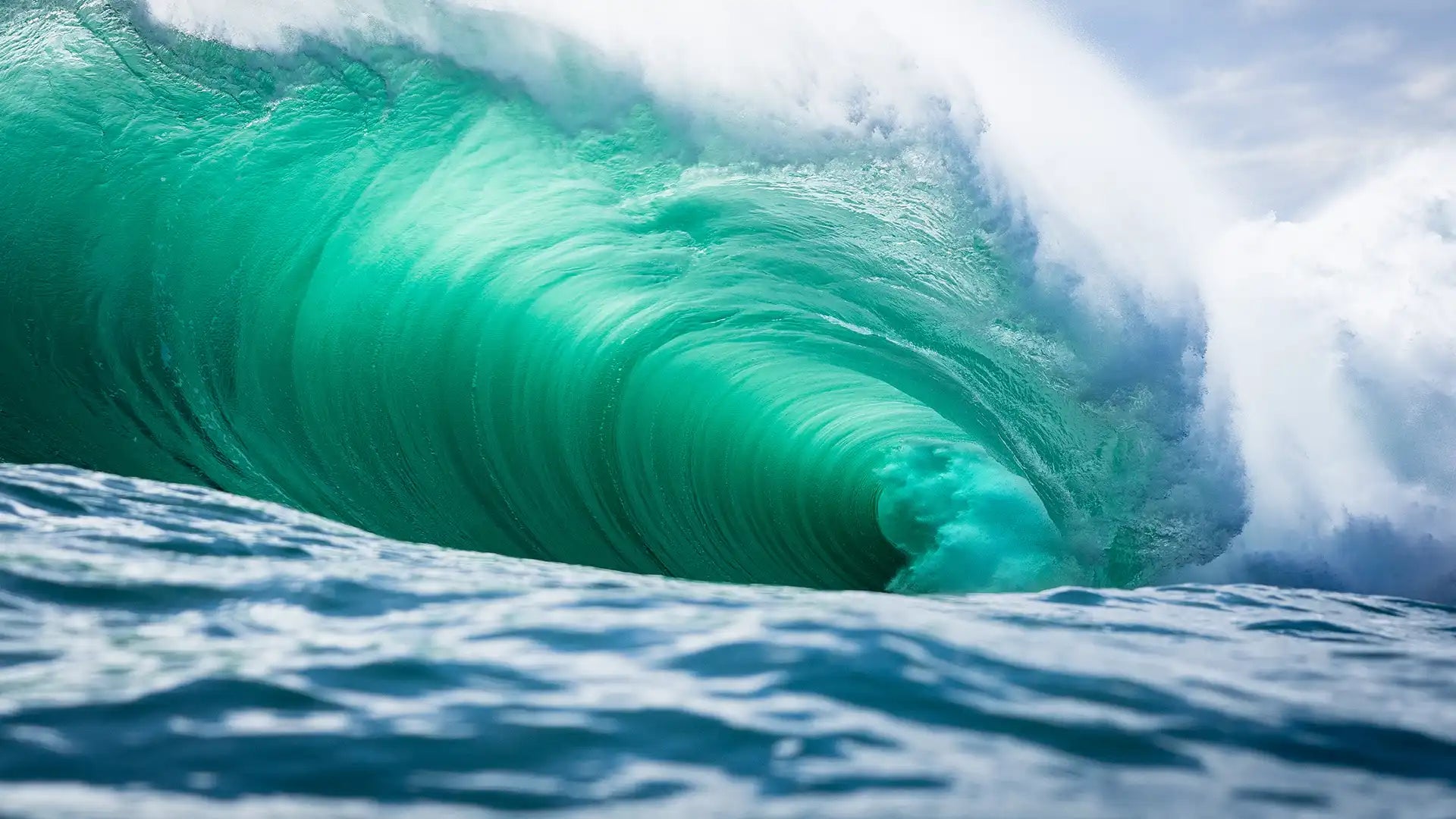 Surf