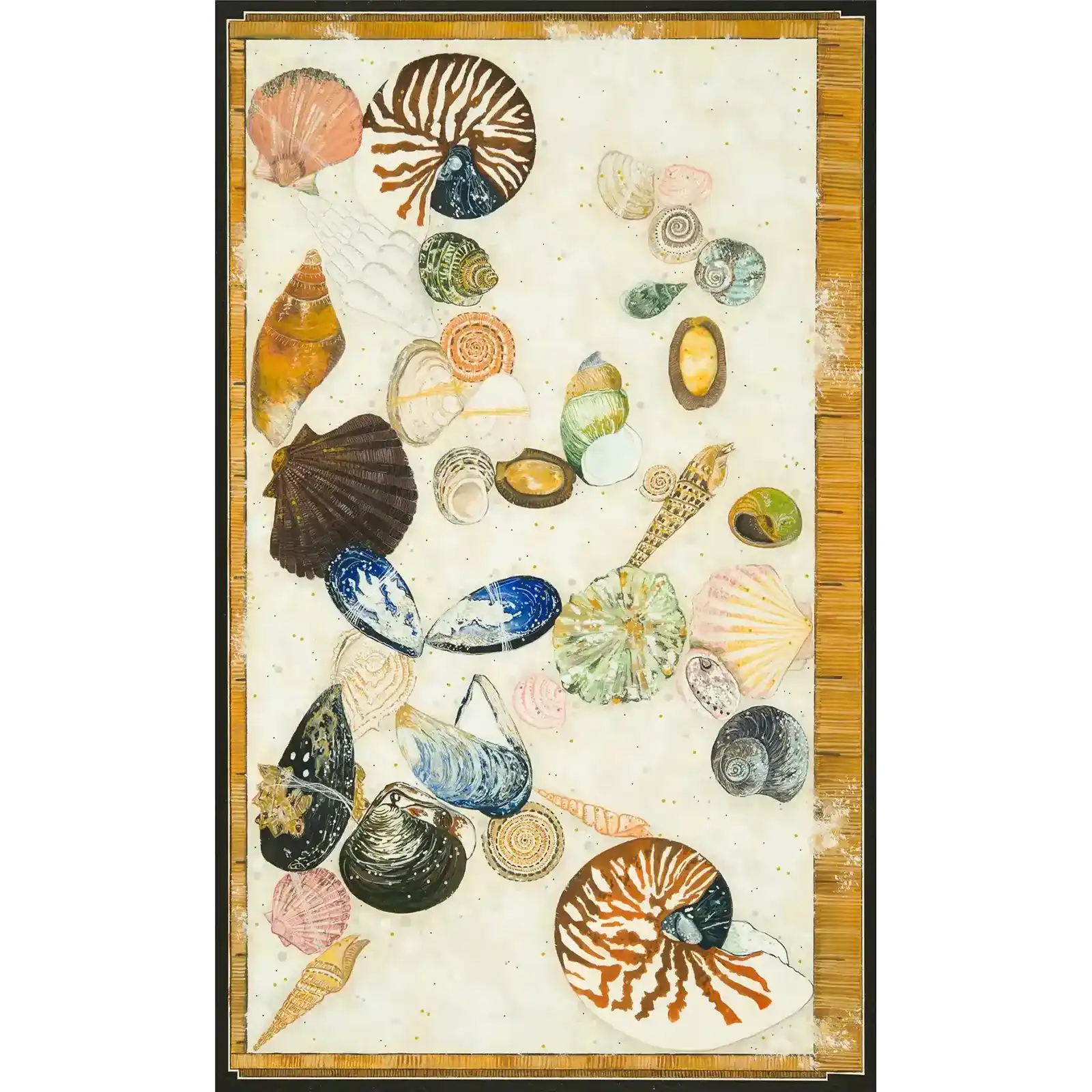 Tasmanian shell collection by Tania Slapar-Koman