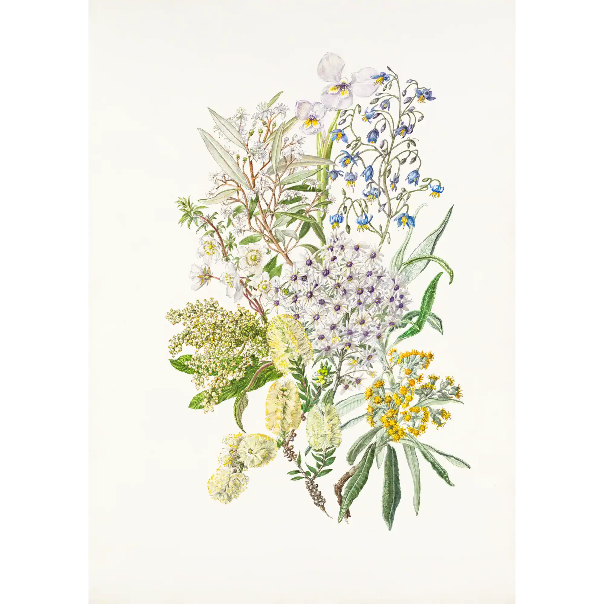 Recherche Bay flowers by Lynne Uptin