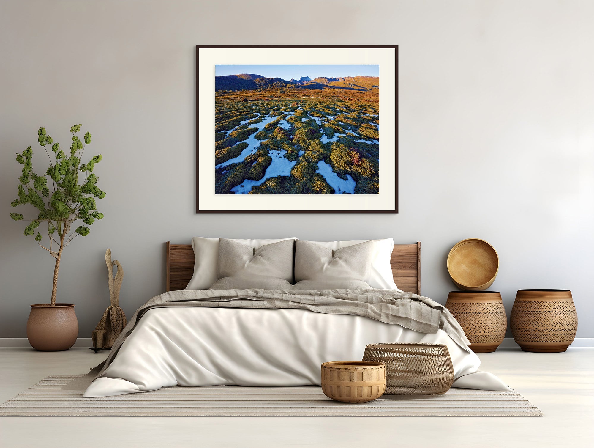Cradle Mountain from Cradle Valley-Tasmania by Rob Blakers