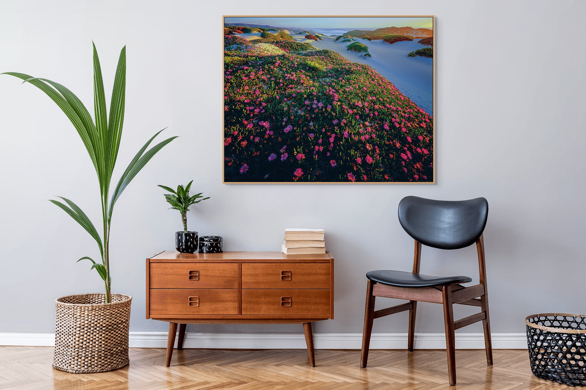 Native Pigface (Carpobrotus rossii)-Tarkine coast-Tasmania by Rob Blakers