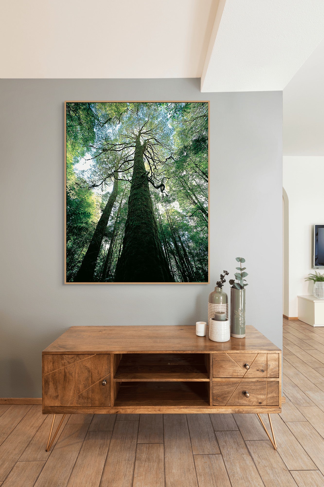 Myrtle rainforest-Tarkine-Tasmania by Rob Blakers