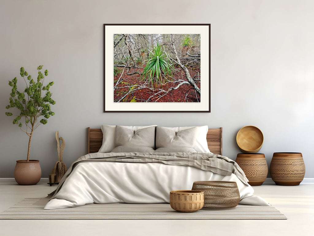 Deciduous beech, Tasmania by Rob Blakers