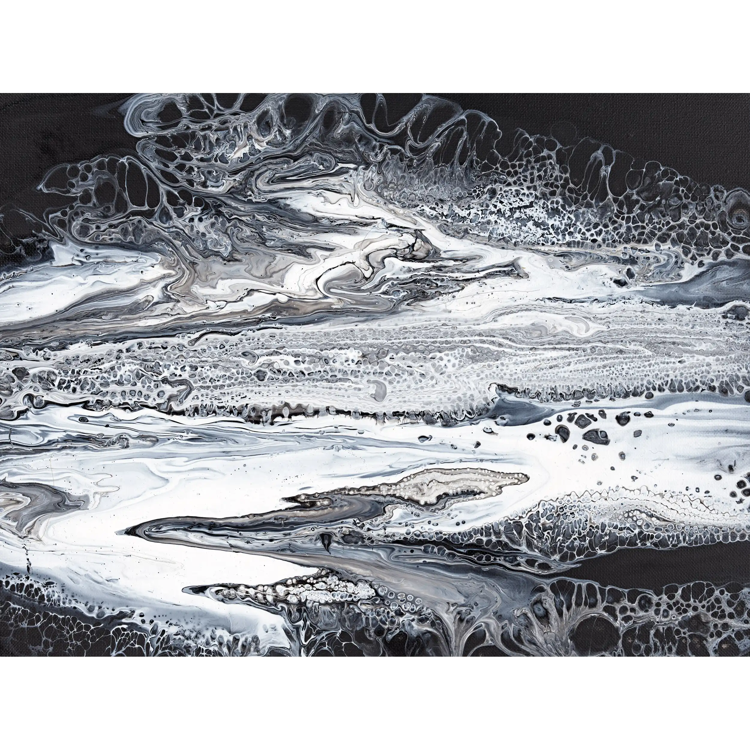 Skull Bone Plains By Anna Abell
