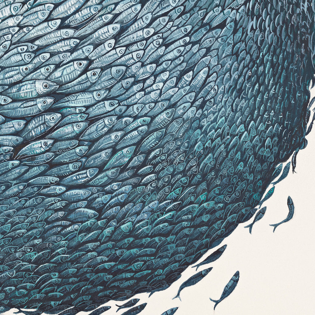 Bait Ball 2 By Helen Barnard