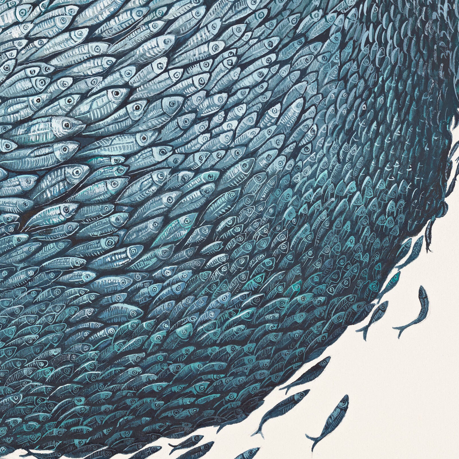 Bait Ball 2 By Helen Barnard