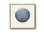Bait Ball 2 By Helen Barnard