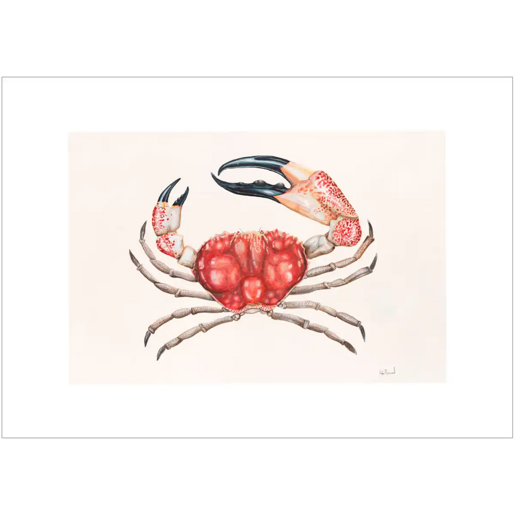 Giant Crab By Helen Barnard
