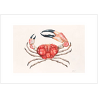 Giant Crab By Helen Barnard