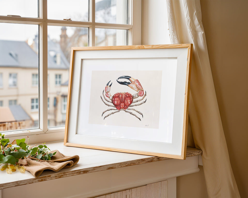 Giant Crab By Helen Barnard