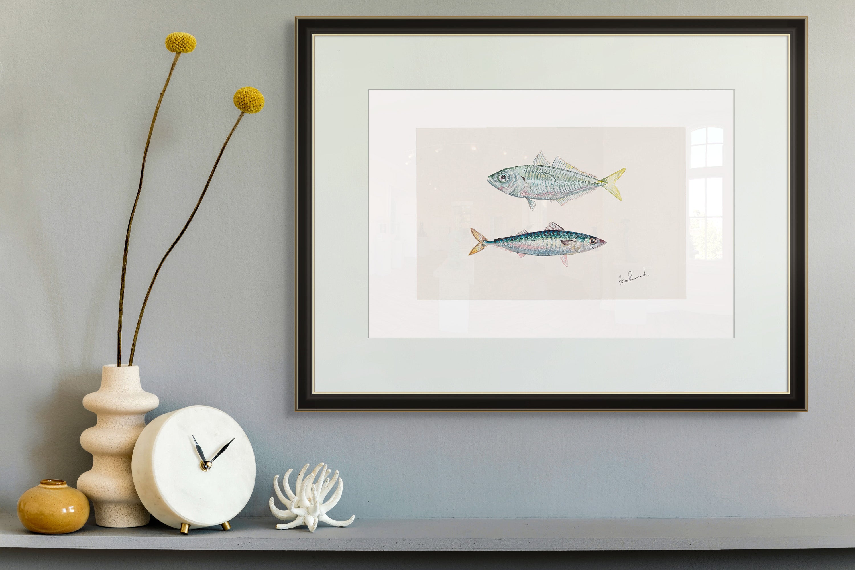 Jack Mackerel By Helen Barnard