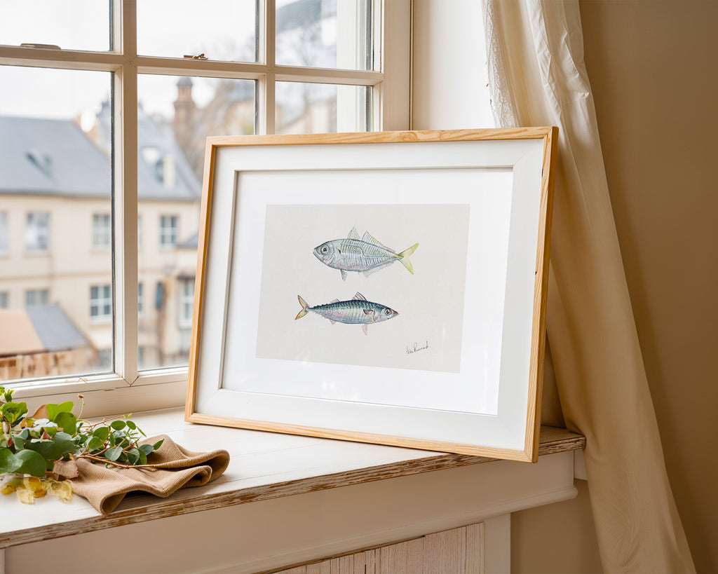 Jack Mackerel By Helen Barnard