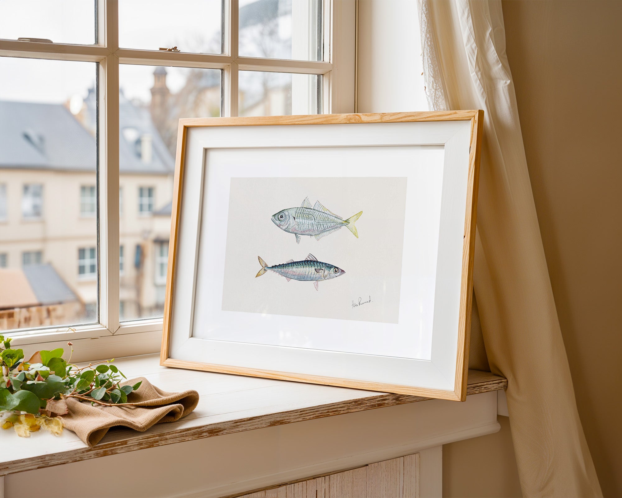 Jack Mackerel By Helen Barnard