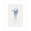 Portuguese man of war  By Helen Barnard