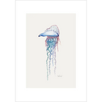 Portuguese man of war  By Helen Barnard