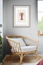 Southern Rocklobster By Helen Barnard