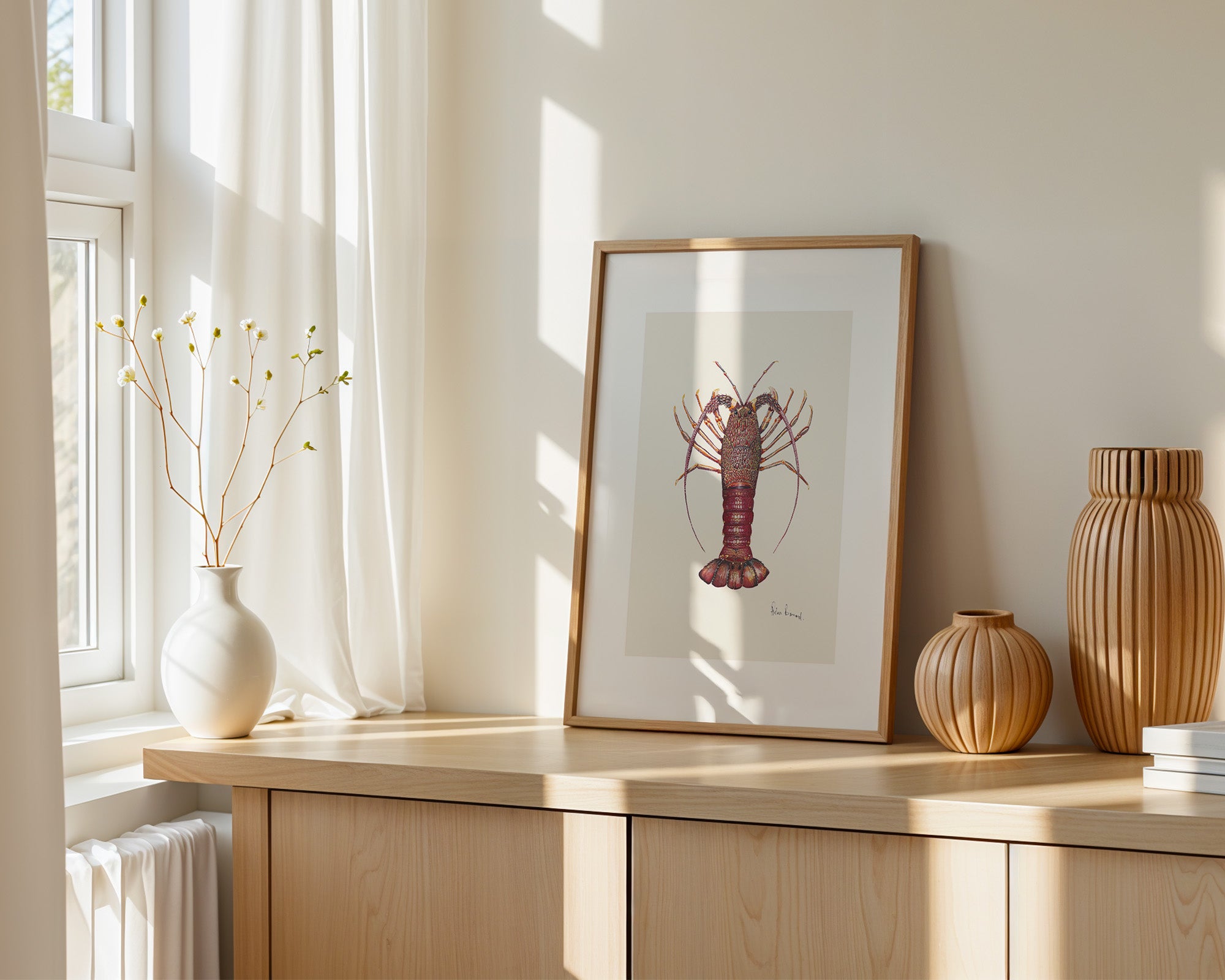 Southern Rocklobster By Helen Barnard