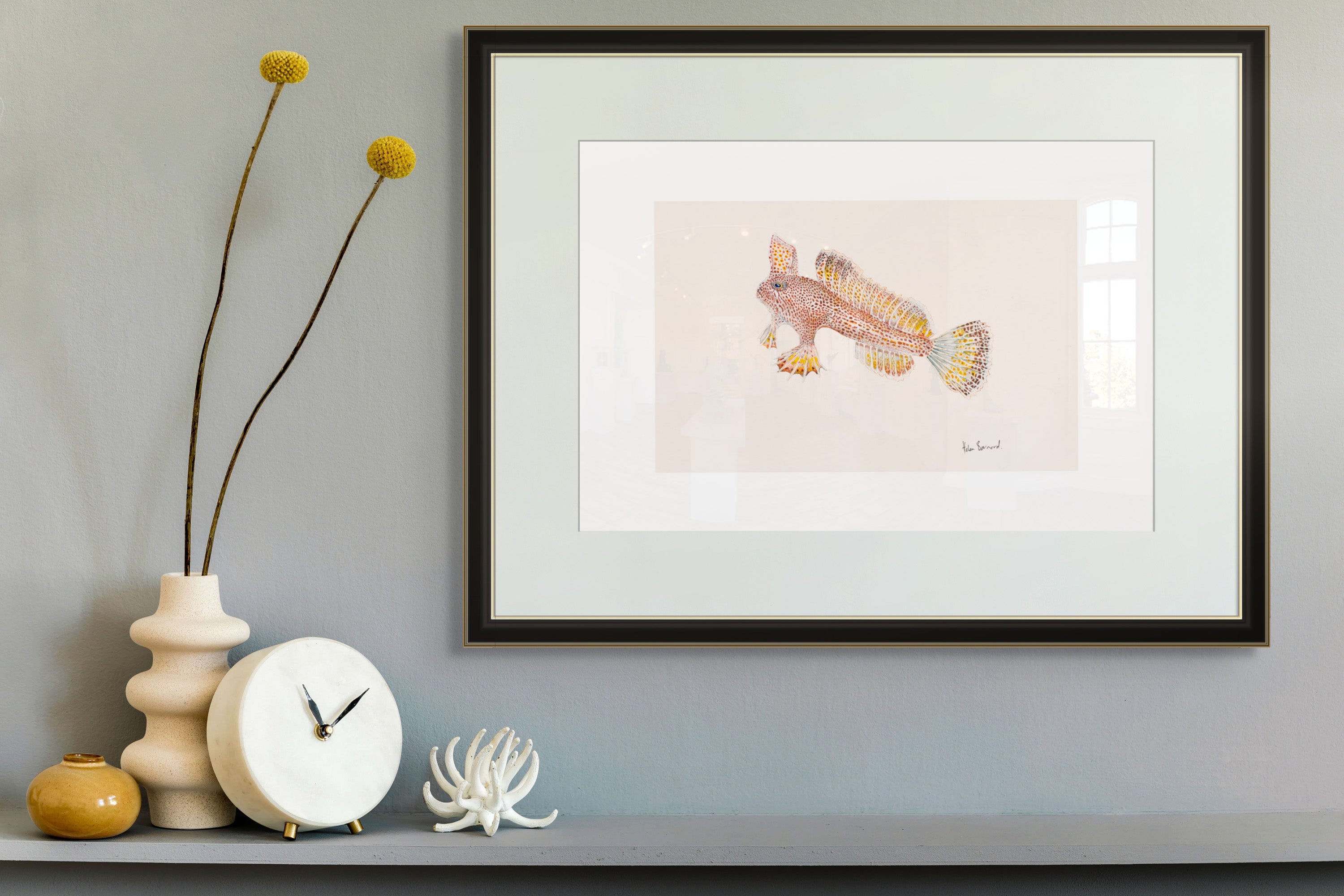 Spotted Handfish By Helen Barnard