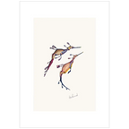 Weedy Sea dragon By Helen Barnard