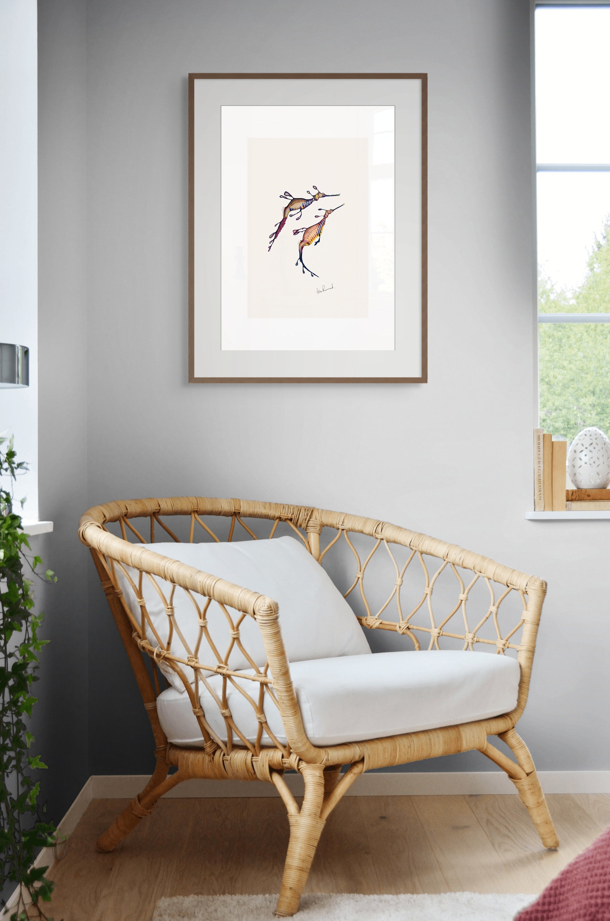 Weedy Sea dragon By Helen Barnard