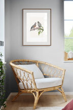 Common Bronzewing By Helen Barnard