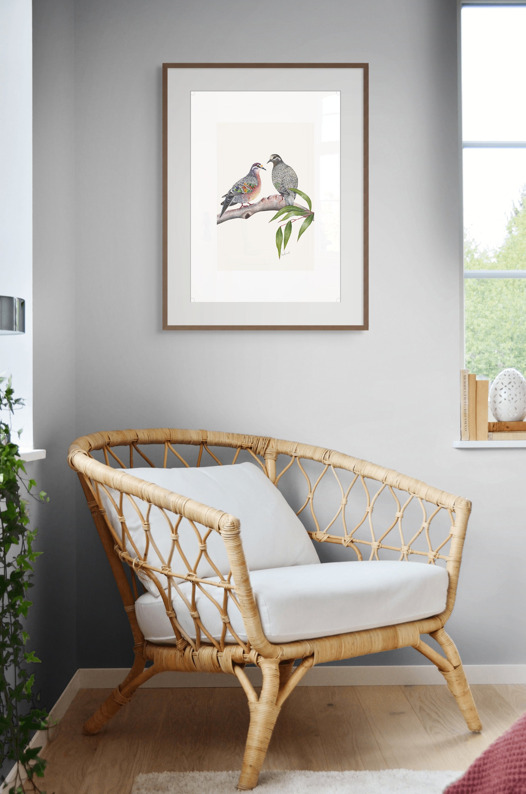 Common Bronzewing By Helen Barnard