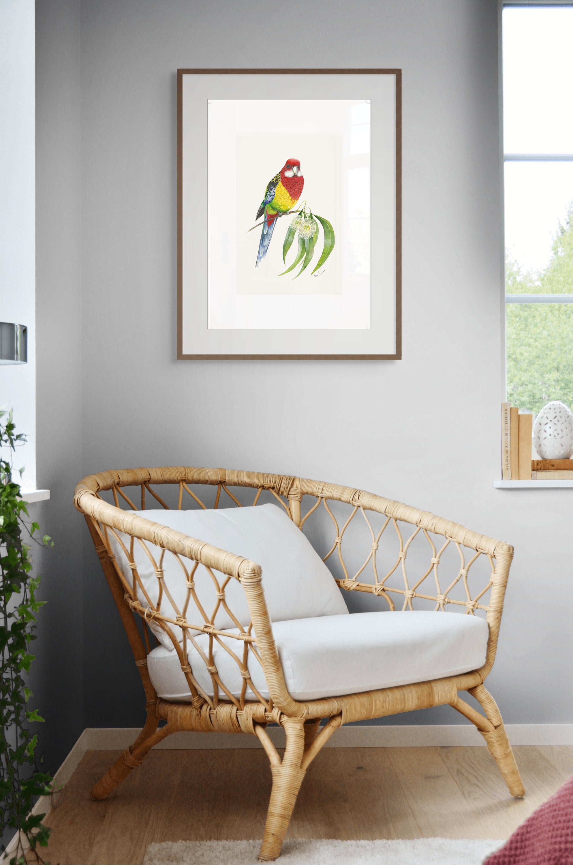 Eastern Rosella By Helen Barnard