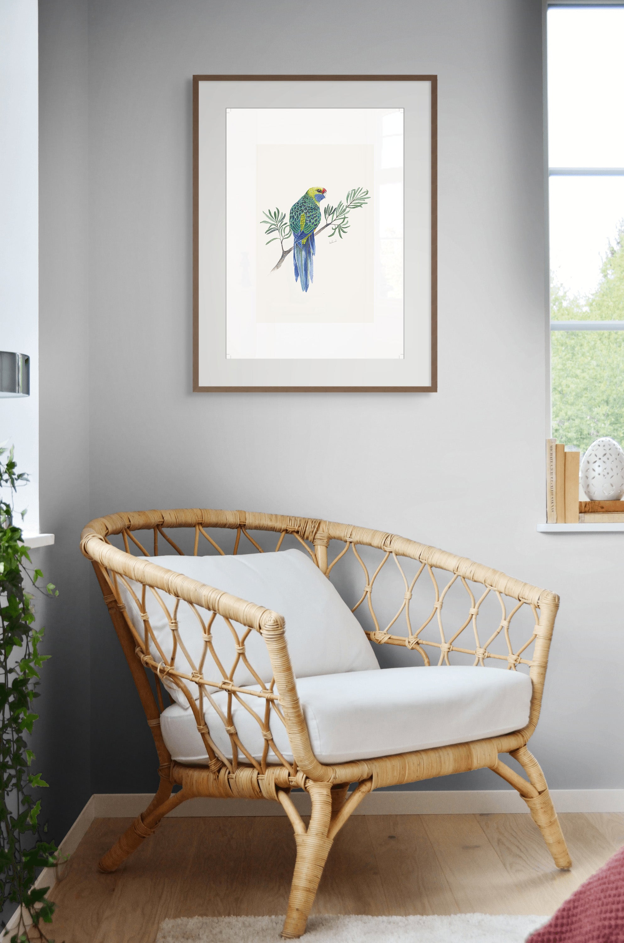 Green Rosella By Helen Barnard