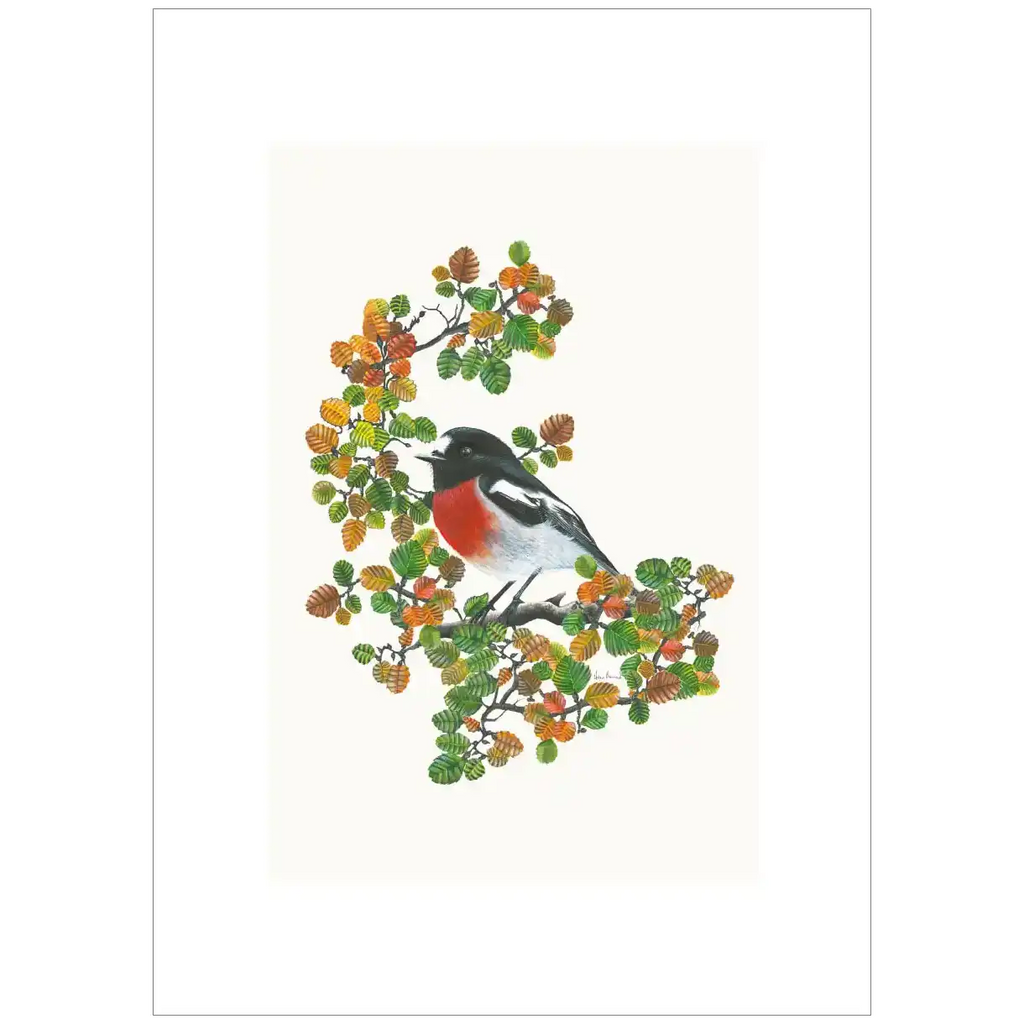 Scarlet Robin By Helen Barnard