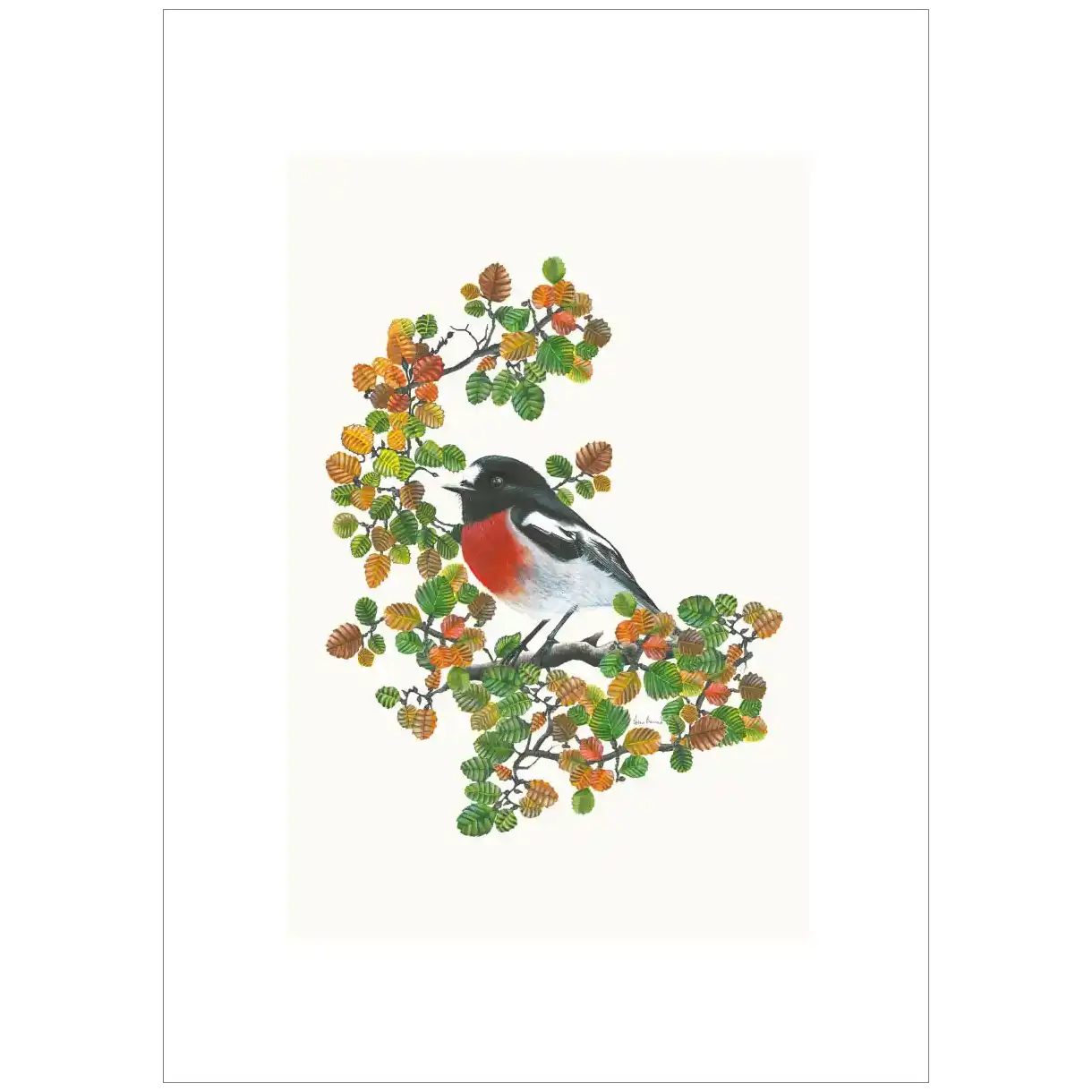 Scarlet Robin By Helen Barnard