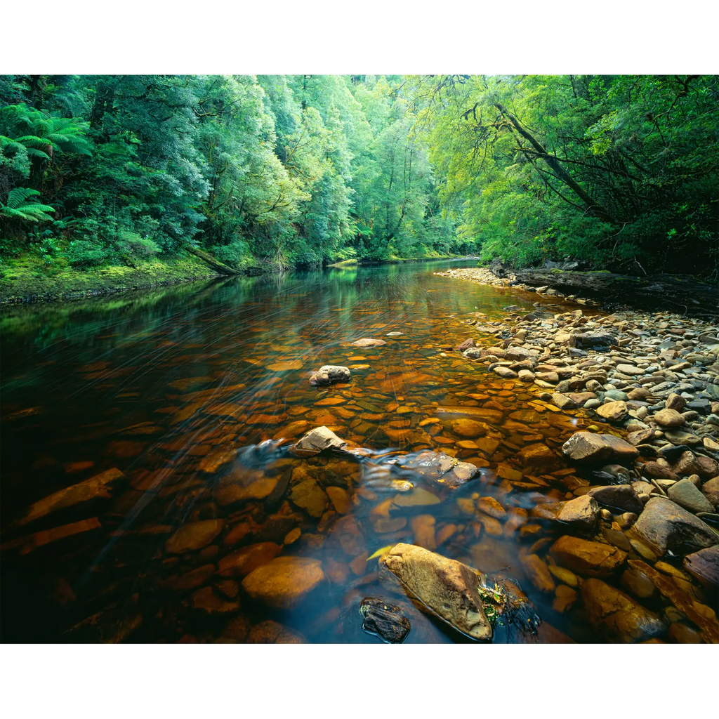 Rapid River-Tarkine-Tasmania by Rob Blakers