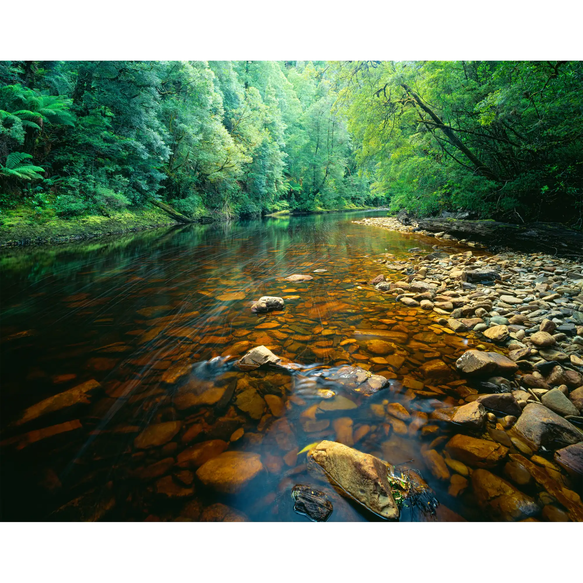 Rapid River-Tarkine-Tasmania by Rob Blakers