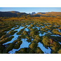 Cradle Mountain from Cradle Valley-Tasmania by Rob Blakers