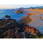 Tarkine coast-Tasmania by Rob Blakers