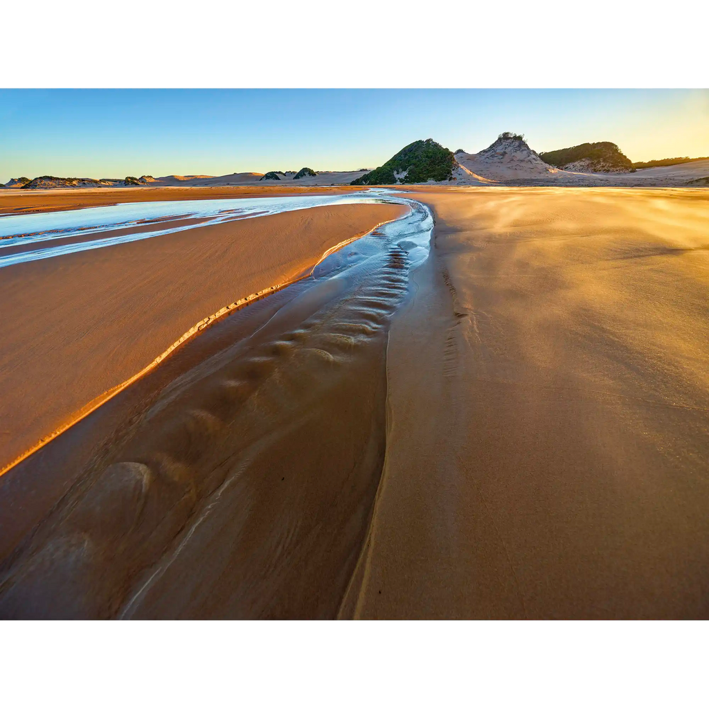 Tarkine coast dawn, Tasmania by Rob Blakers