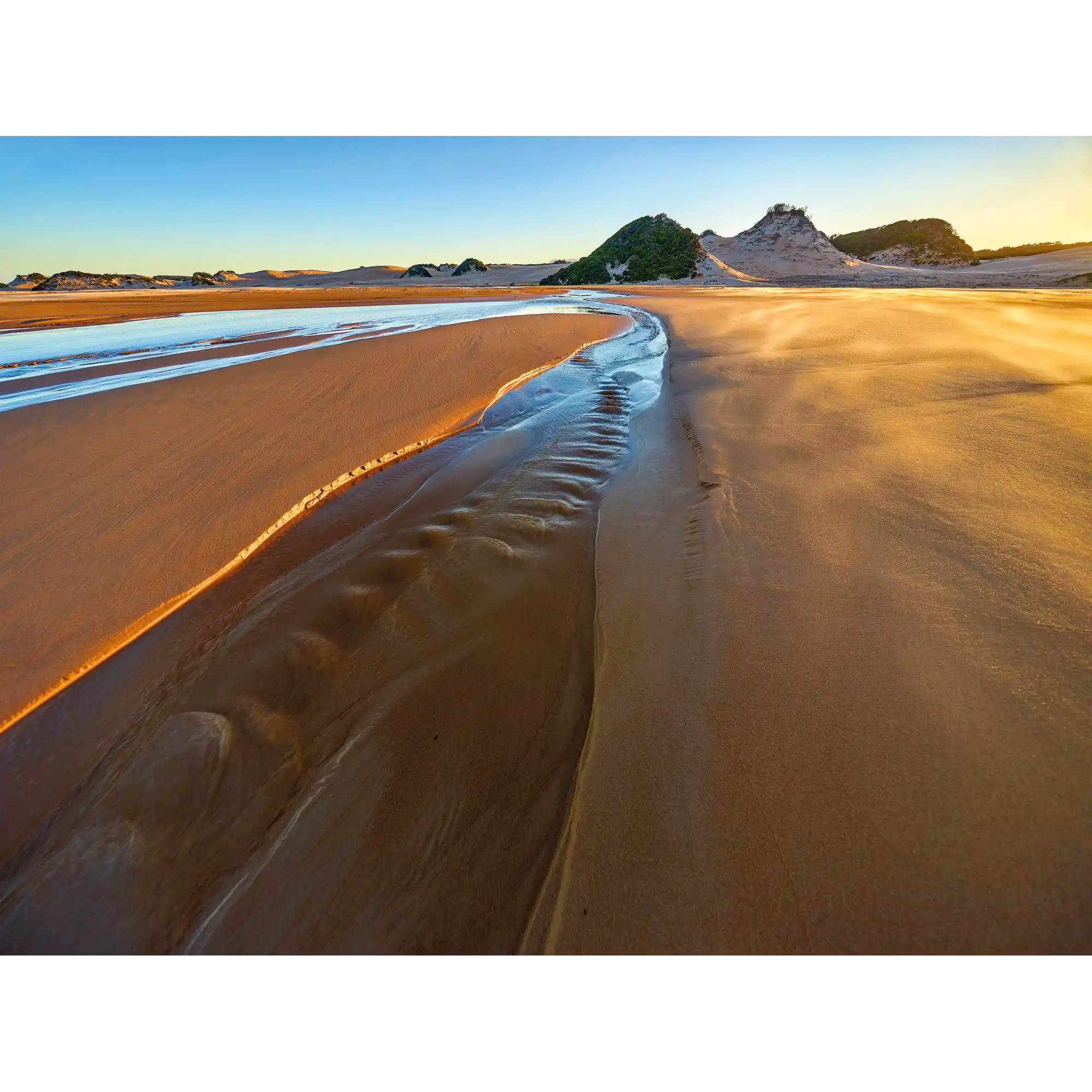 Tarkine coast dawn, Tasmania by Rob Blakers