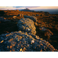 Evening, West Coast Range, Tasmania by Rob Blakers