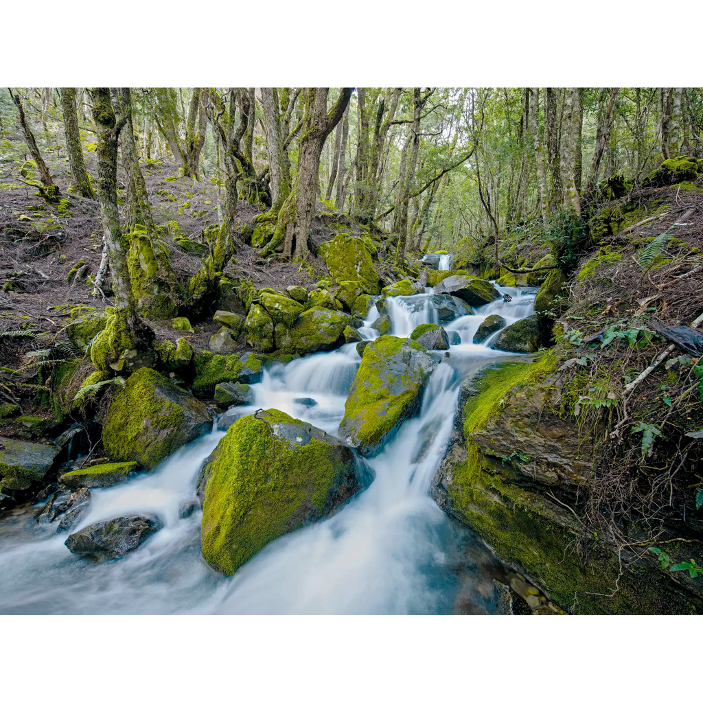 Walls of Jerusalem National Park #2, Tasmania by Rob Blakers