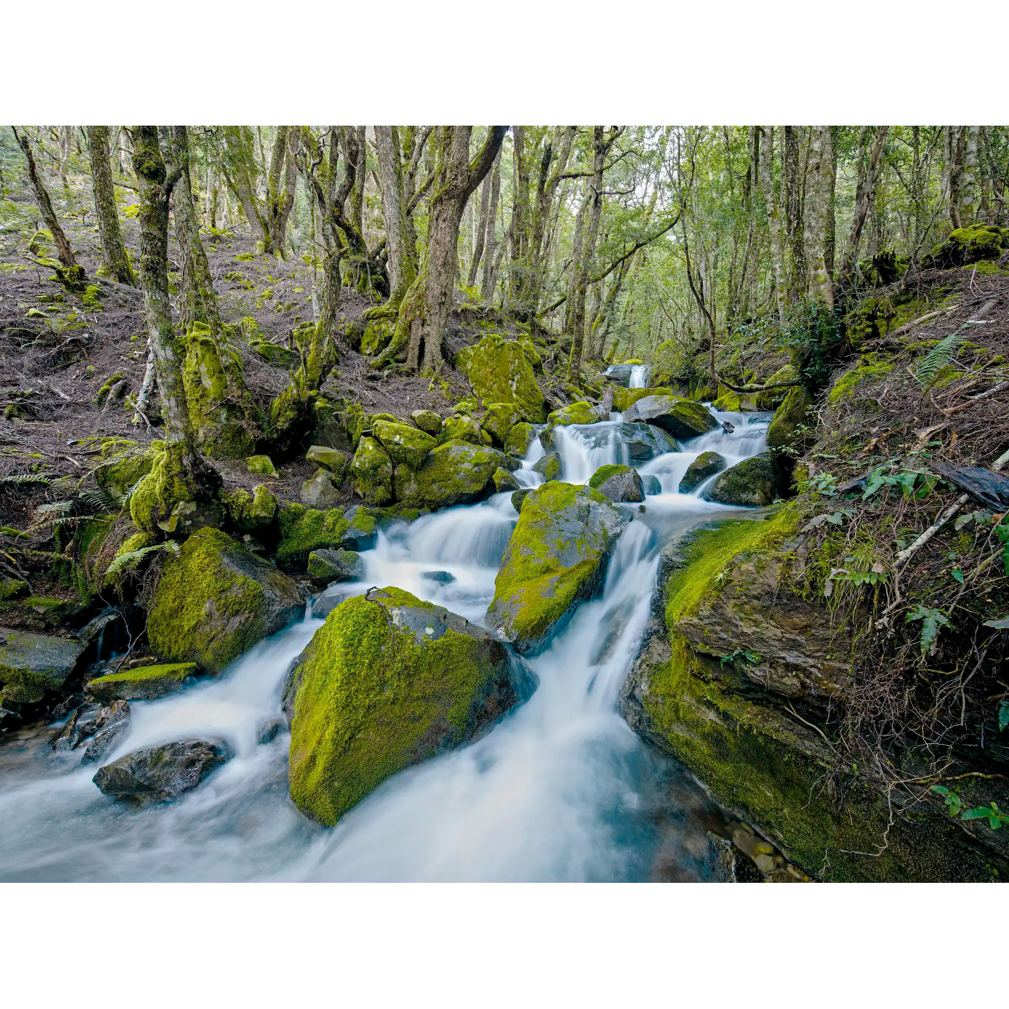 Walls of Jerusalem National Park #2, Tasmania by Rob Blakers