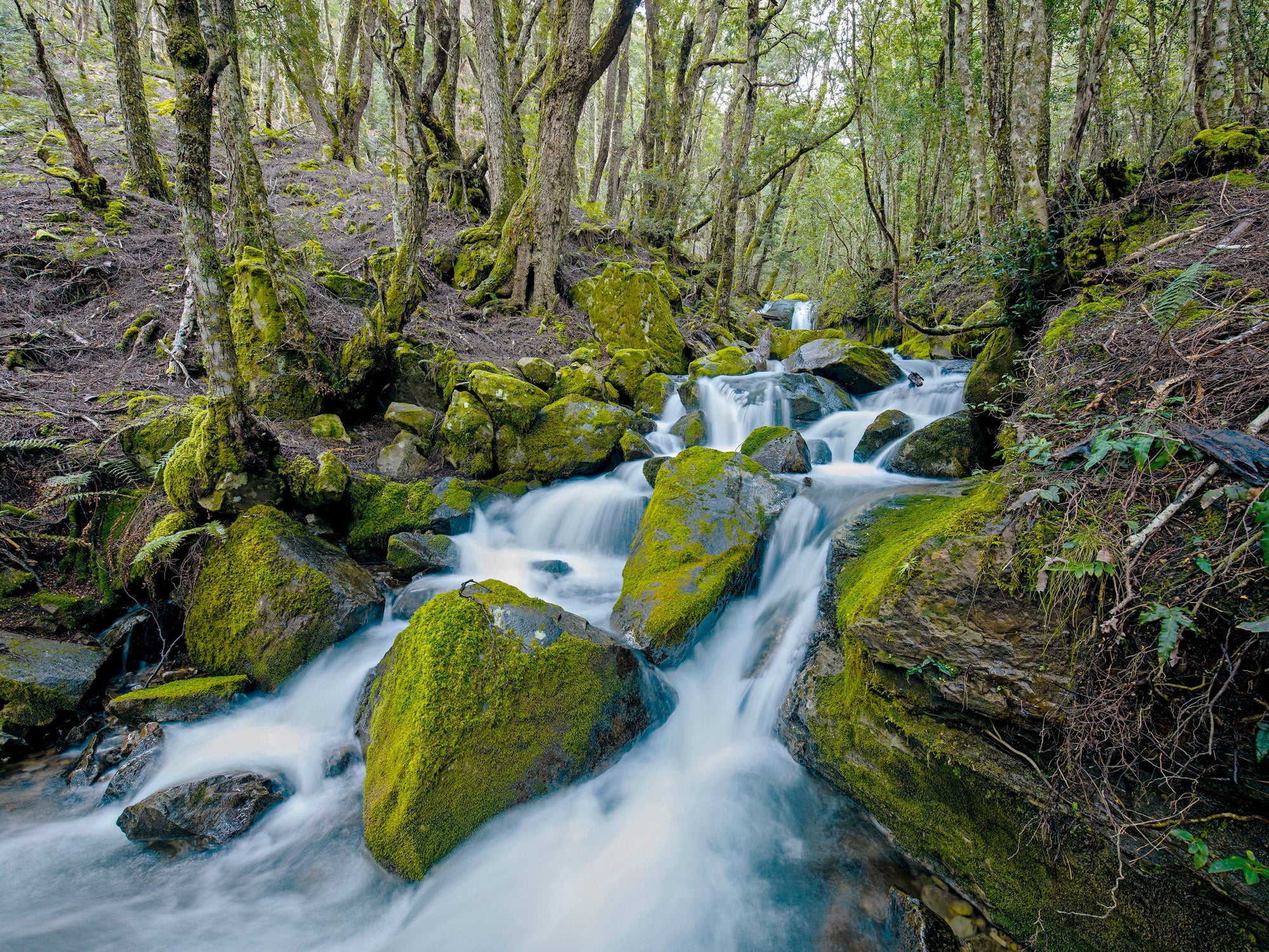 Walls of Jerusalem National Park #2, Tasmania by Rob Blakers