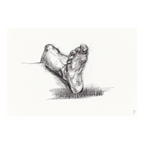 Life Sketch 32