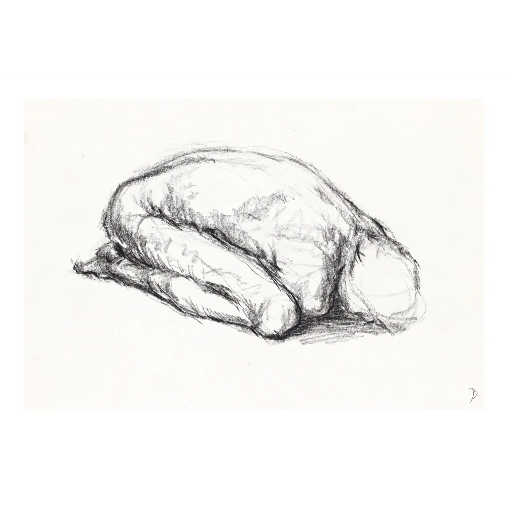 Life Sketch 36