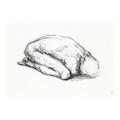 Life Sketch 36