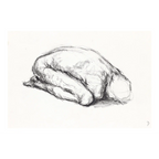 Life Sketch 36