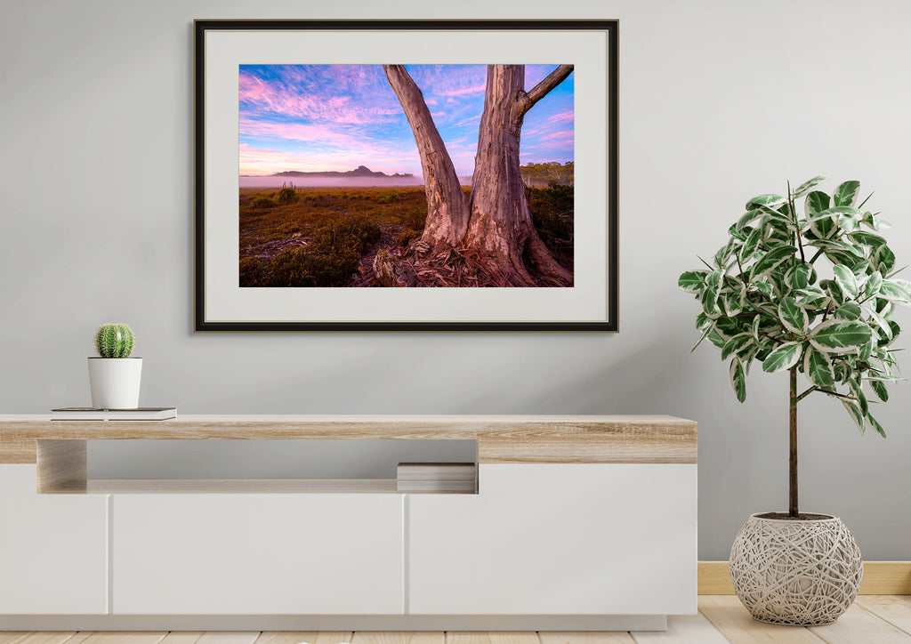 New Years Day 2024 - Central Highlands by Ben Wilkinson