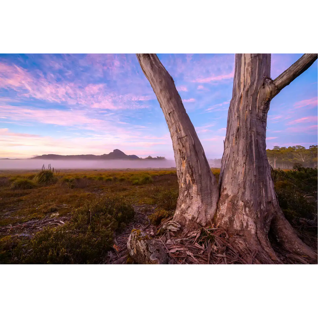 New Years Day 2024 - Central Highlands by Ben Wilkinson