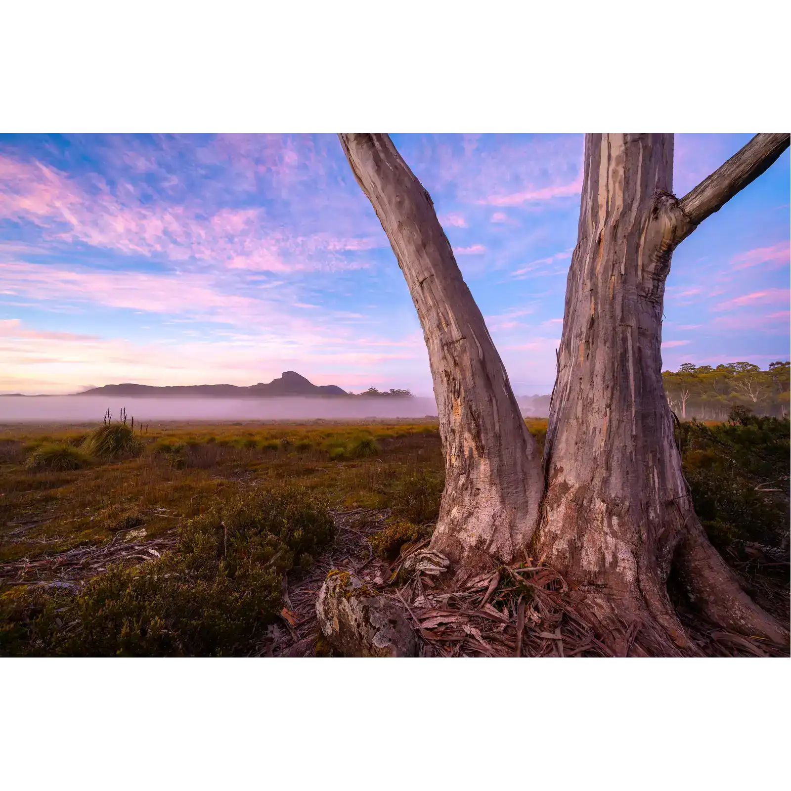 New Years Day 2024 - Central Highlands by Ben Wilkinson