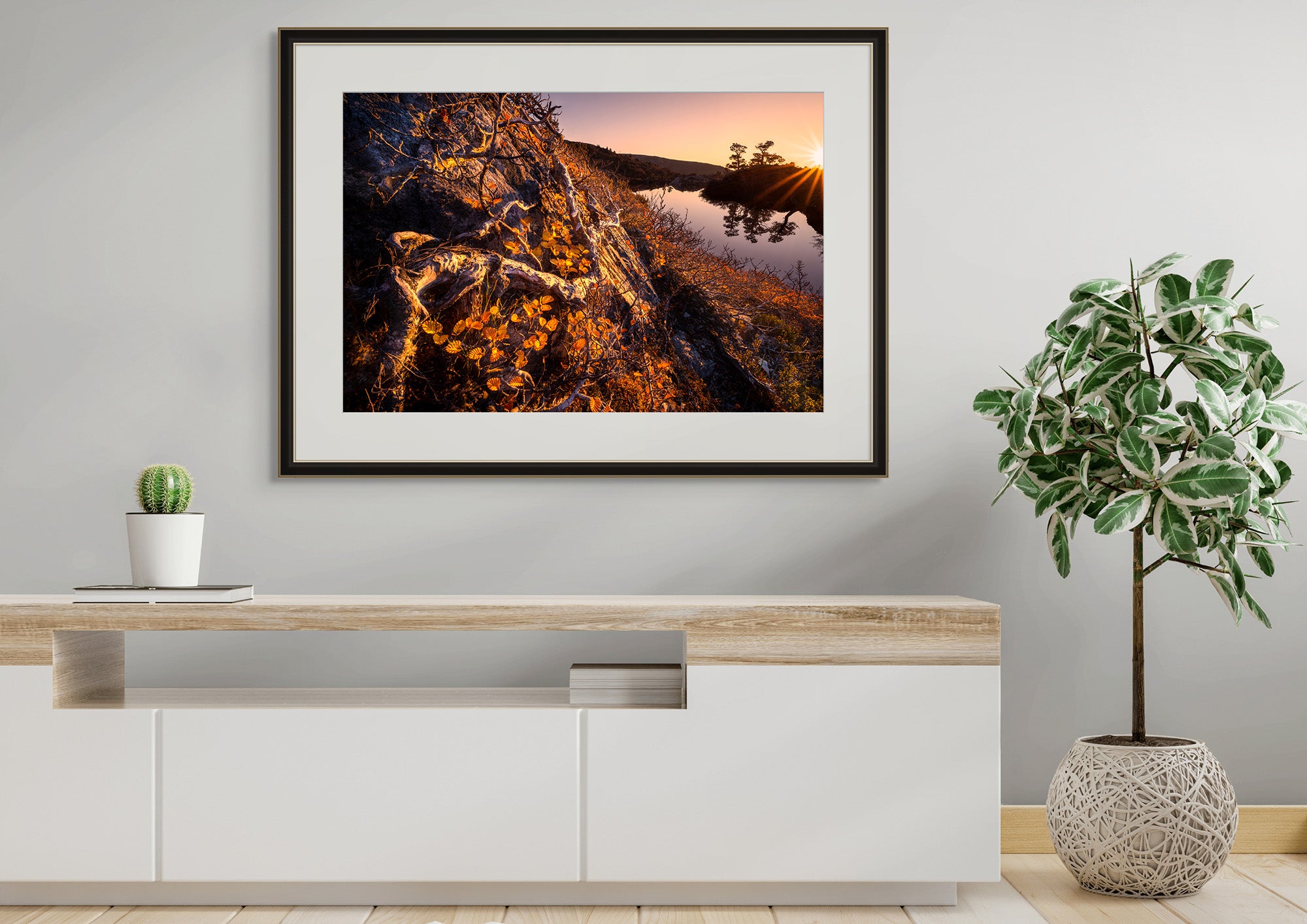 Fagus Sunrise - Cradle Mountain National Park  by Ben Wilkinson
