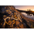 Fagus Sunrise - Cradle Mountain National Park  by Ben Wilkinson